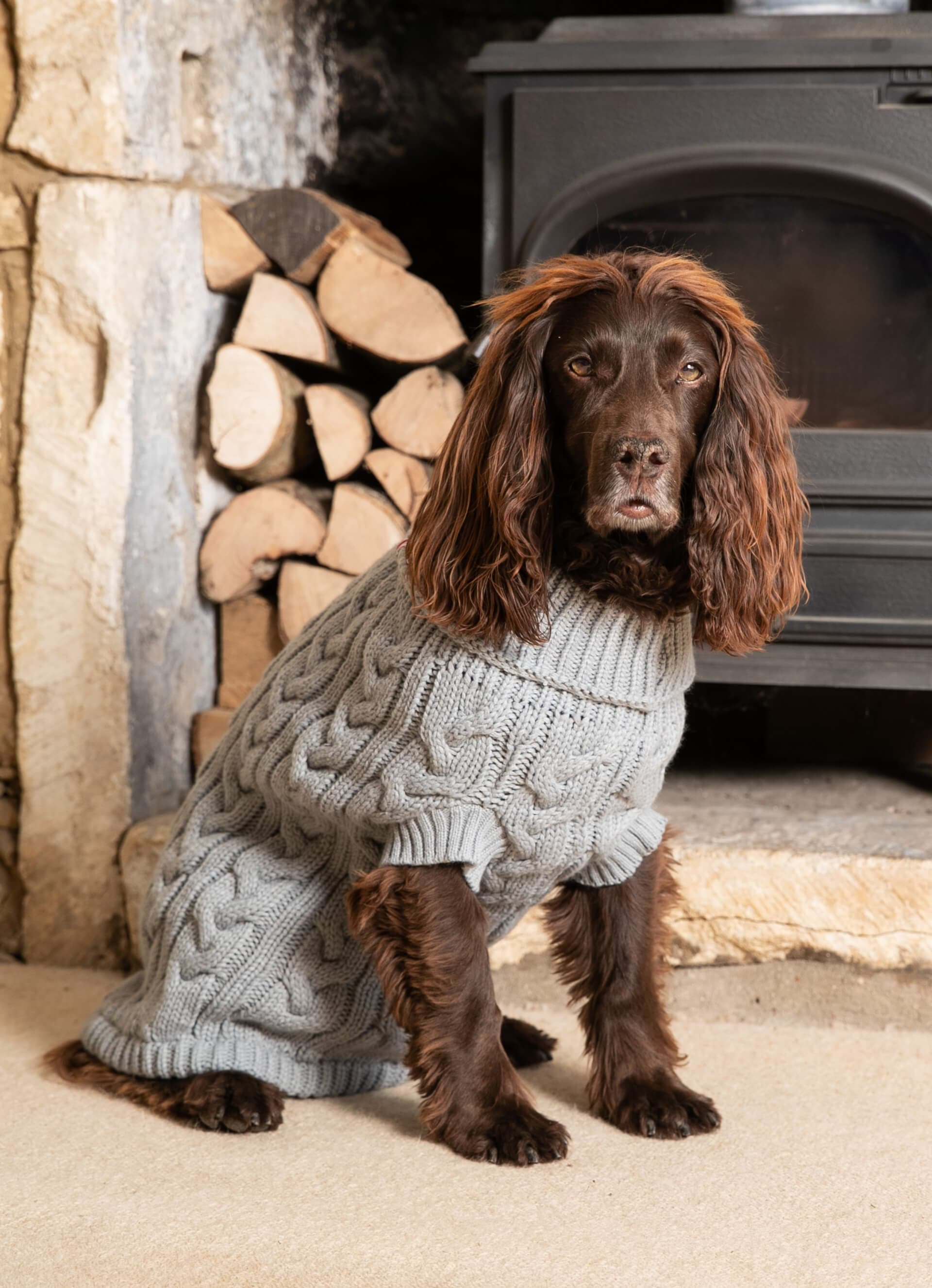 Cable Knit Dog Sweater - Grey